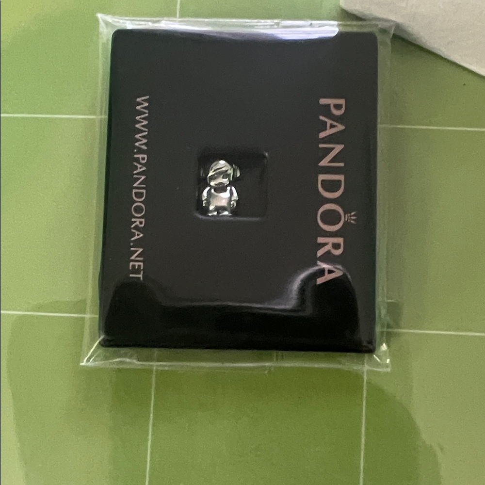 Pandora Silver Charm in Black Packaging